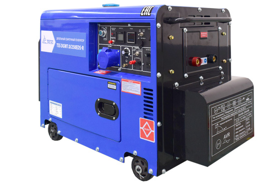 Сварочный генератор TSS DGW 7.0/250EDS-R в кожухе (220 В, дизель)