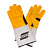   ESAB TIG Professional 
